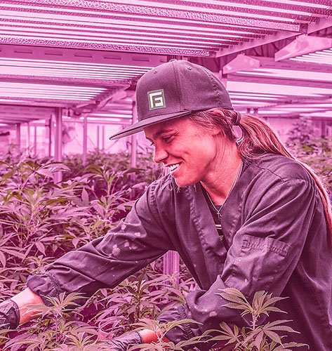 YH533388银河工业大麻植物灯优势
