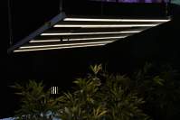 全光谱led植物生长灯-植物的福音 