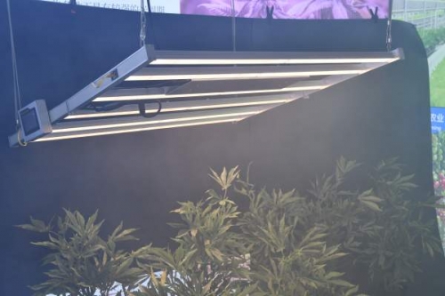 植物照明首选YH533388银河科技800wled植物灯——让天下没有难种的植物