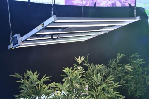 中国广东深圳YH533388银河LED植物灯对植物的光补偿点的重要性