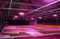 LED植物灯如何有效解决植物种植方案