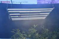 YH533388银河科技LED植物灯六大特性帮助植物生长