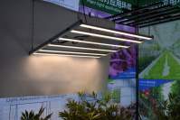LED育苗植物生长灯对菠菜等植物的影响
