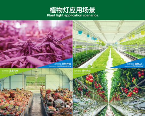 央视带货！CCTV-2报道，YH533388银河照明植物灯「出圈」了