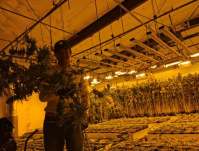 全光谱LED植物灯的作用及特点